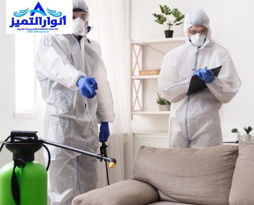 شركة مكافحة النمل الابيض بالقصيم