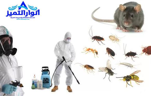 شركة مكافحة النمل الابيض بالقصيم