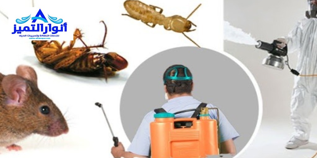 شركة مكافحة البعوض بالقصيم